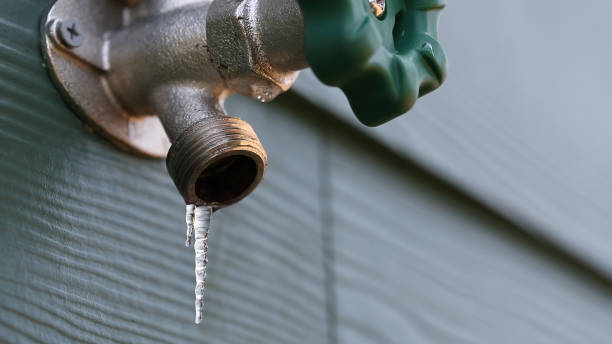 Best Local Plumber Services  in Rankin, TX